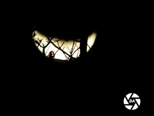 aa8c0986-afd9-4c3c-aa77-41ef2c1e869c rw 1920